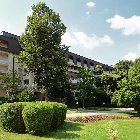 Hvd Lotos Altın Kumlar