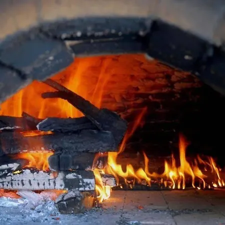 Hvd Lotos 4* Golden Sands